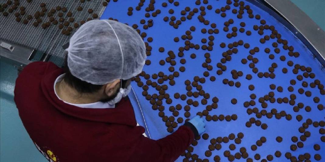 KOSGEB desteğiyle fabrikasını kurdu, çalışmaya başladı! Günde 100.000 paket üretiyor: Yurt dışına bile satıyor 1